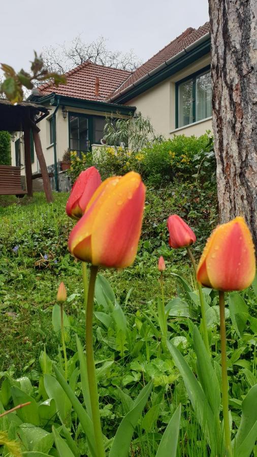 Edit Villa Matrafured Ngoại thất bức ảnh